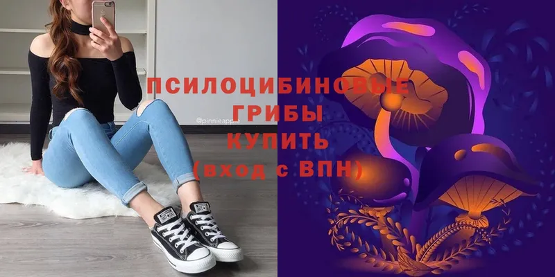 Галлюциногенные грибы Psilocybe  блэк спрут как зайти  Шахты 